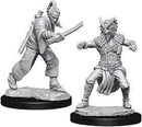 D&D Nolzur's Marvelous Miniatures: Human