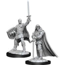 D&D Nolzur's Marvelous Miniatures: Human