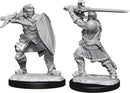 D&D Nolzur's Marvelous Miniatures: Human