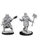 D&D Nolzur's Marvelous Miniatures: Human