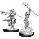 D&D Nolzur's Marvelous Miniatures: Human