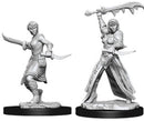 D&D Nolzur's Marvelous Miniatures: Human