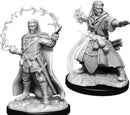 D&D Nolzur's Marvelous Miniatures: Human