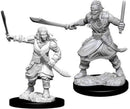 D&D Nolzur's Marvelous Miniatures: Monsters