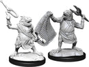 D&D Nolzur's Marvelous Miniatures: Monsters