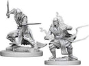 D&D Nolzurs Marvelous Miniatures: NPCs and Enemies