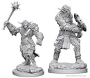 D&D Nolzurs Marvelous Miniatures: NPCs and Enemies