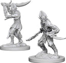 D&D Nolzurs Marvelous Miniatures: NPCs and Enemies