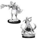 D&D Nolzurs Marvelous Miniatures: NPCs and Enemies