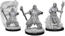 D&D Nolzurs Marvelous Miniatures: NPCs and Enemies