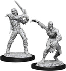 D&D Nolzurs Marvelous Miniatures: NPCs and Enemies
