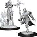 D&D Nolzurs Marvelous Miniatures: NPCs and Enemies