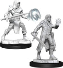 D&D Nolzurs Marvelous Miniatures: NPCs and Enemies