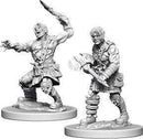 D&D Nolzurs Marvelous Miniatures: NPCs and Enemies