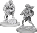 D&D Nolzurs Marvelous Miniatures: NPCs and Enemies