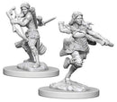 D&D Nolzurs Marvelous Miniatures: NPCs and Enemies