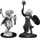 D&D Nolzurs Marvelous Miniatures: NPCs and Enemies