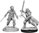 D&D Nolzurs Marvelous Miniatures: NPCs and Enemies
