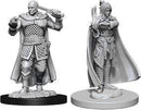 D&D Nolzurs Marvelous Miniatures: NPCs and Enemies