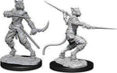 D&D Nolzurs Marvelous Miniatures: Tabaxi