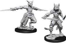 D&D Nolzurs Marvelous Miniatures: Tabaxi
