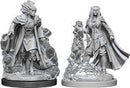 D&D Nolzurs Marvelous Miniatures: Tiefling