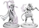 D&D Nolzurs Marvelous Miniatures: Tiefling