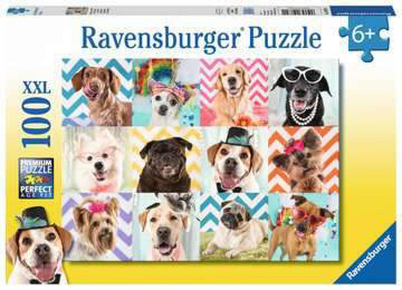 Doggy Disguise Puzzle