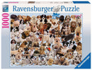 Dog's Galore Puzzle