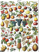 Fruits Puzzle
