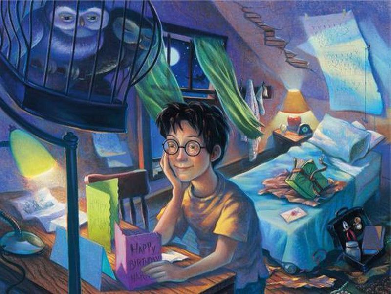 Harry Potter Counting the Days Puzzle