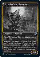 Kessig Naturalist // Lord of the Ulvenwald [Innistrad: Double Feature]