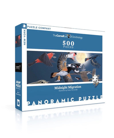 Midnight Migration Puzzle