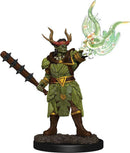 Pathfinder Battles Premium: Half-breed