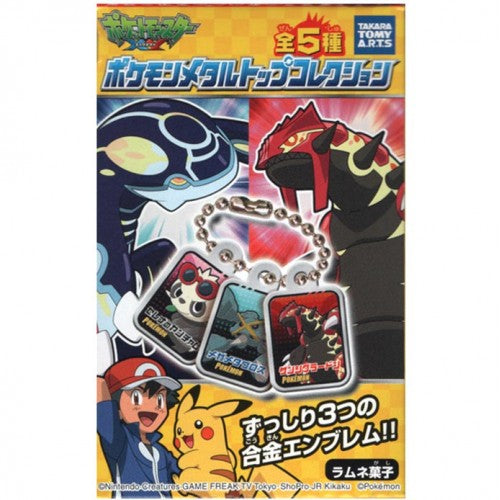 Pokemon Metal Keychain Set