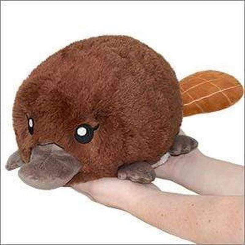 Squishable Baby Platypus