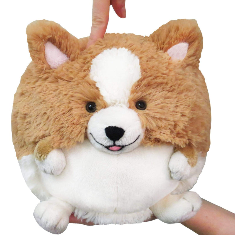 Squishable Corgi