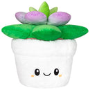 Squishable Succulent