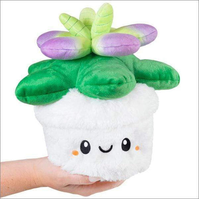 Squishable Succulent