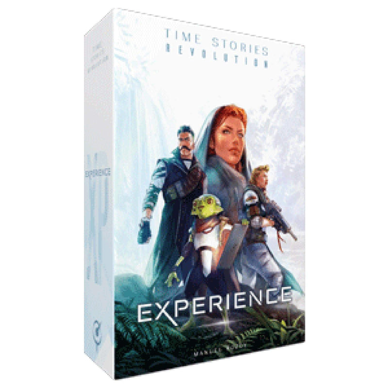 Time Stories Revolution: Experience